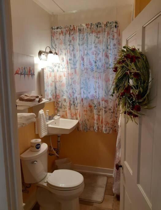 #05 - Lakefront Two Bedroom Cottage- Pet Friendly Hot Springs Buitenkant foto